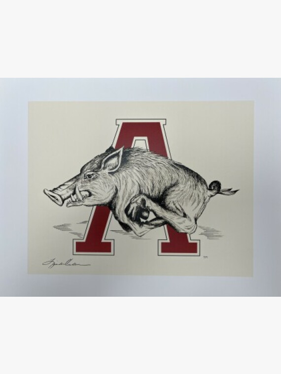 Classic Razorback Print image