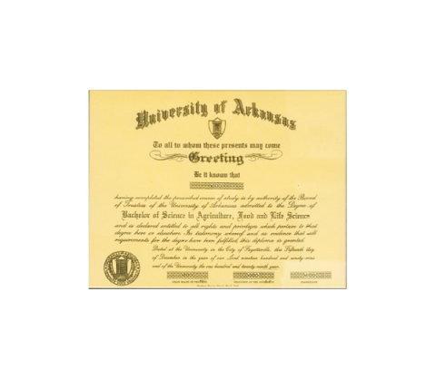 music frame diploma